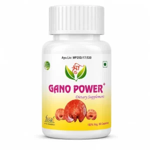 shri gano power capsules1 1 600x600