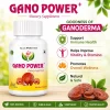 shri gano power capsules2 100x100 shri gano power capsules2 100x100