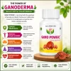 shri gano power capsules3 100x100 shri gano power capsules3 100x100