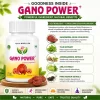 shri gano power capsules4 100x100 shri gano power capsules4 100x100