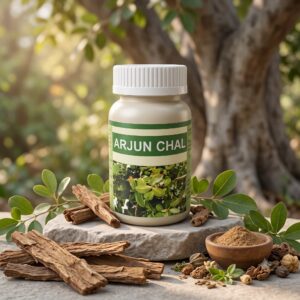 arjun chal